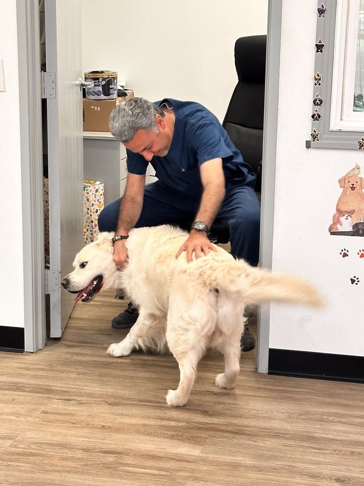 Owner of Cali Pets Hotel with a happy doodle in the lobby
